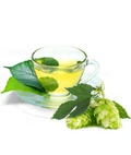 Organic Green Tea & Hops- SupraNail Ingredient